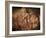 Stone-age Cave Paintings, Asturias, Spain-Javier Trueba-Framed Photographic Print