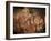 Stone-age Cave Paintings, Asturias, Spain-Javier Trueba-Framed Photographic Print