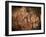 Stone-age Cave Paintings, Asturias, Spain-Javier Trueba-Framed Photographic Print