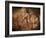 Stone-age Cave Paintings, Asturias, Spain-Javier Trueba-Framed Photographic Print