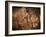 Stone-age Cave Paintings, Asturias, Spain-Javier Trueba-Framed Photographic Print