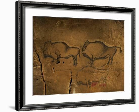 Stone-age Cave Paintings, Asturias, Spain-Javier Trueba-Framed Photographic Print