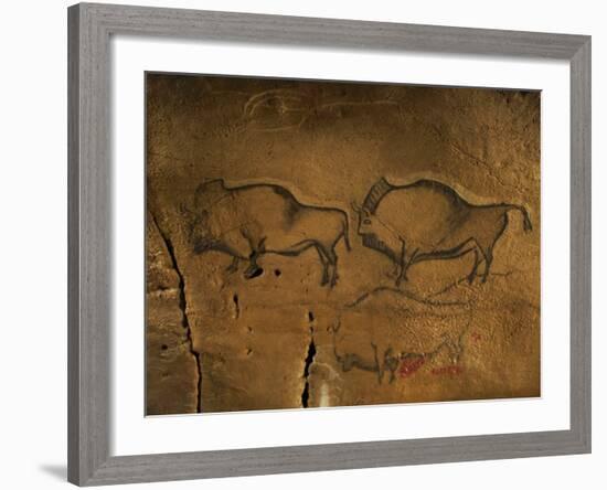 Stone-age Cave Paintings, Asturias, Spain-Javier Trueba-Framed Photographic Print