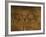 Stone-age Cave Paintings, Asturias, Spain-Javier Trueba-Framed Photographic Print