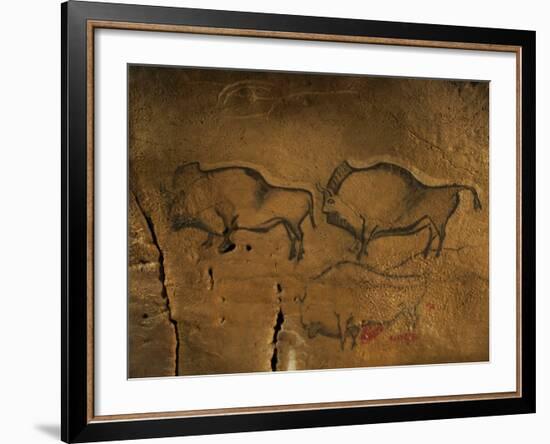 Stone-age Cave Paintings, Asturias, Spain-Javier Trueba-Framed Photographic Print