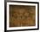 Stone-age Cave Paintings, Asturias, Spain-Javier Trueba-Framed Photographic Print