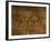 Stone-age Cave Paintings, Asturias, Spain-Javier Trueba-Framed Photographic Print