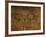 Stone-age Cave Paintings, Asturias, Spain-Javier Trueba-Framed Photographic Print