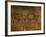 Stone-age Cave Paintings, Asturias, Spain-Javier Trueba-Framed Photographic Print