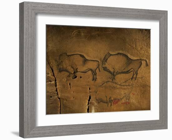 Stone-age Cave Paintings, Asturias, Spain-Javier Trueba-Framed Photographic Print