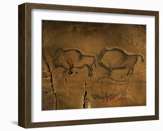 Stone-age Cave Paintings, Asturias, Spain-Javier Trueba-Framed Photographic Print