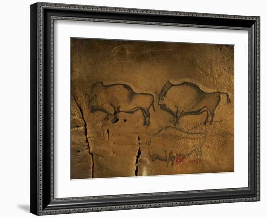 Stone-age Cave Paintings, Asturias, Spain-Javier Trueba-Framed Photographic Print