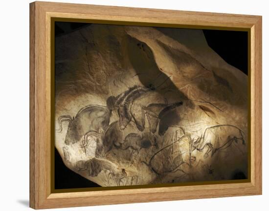 Stone-age Cave Paintings, Chauvet, France-Javier Trueba-Framed Premier Image Canvas