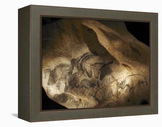 Stone-age Cave Paintings, Chauvet, France-Javier Trueba-Framed Premier Image Canvas