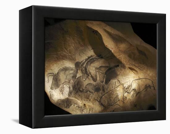 Stone-age Cave Paintings, Chauvet, France-Javier Trueba-Framed Premier Image Canvas