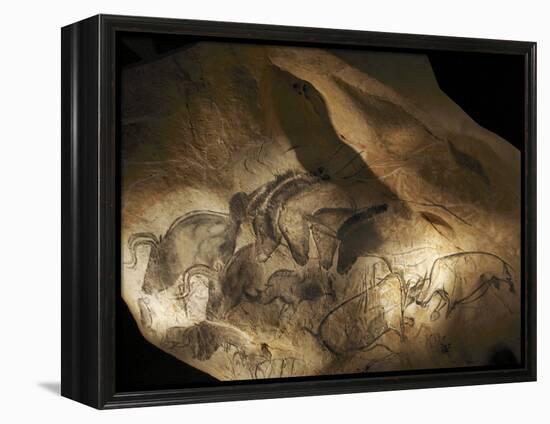 Stone-age Cave Paintings, Chauvet, France-Javier Trueba-Framed Premier Image Canvas