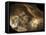 Stone-age Cave Paintings, Chauvet, France-Javier Trueba-Framed Premier Image Canvas