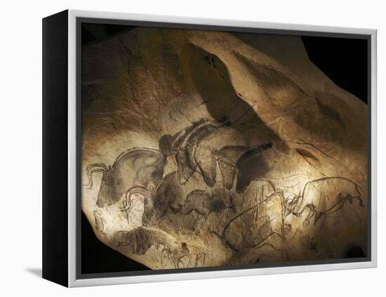 Stone-age Cave Paintings, Chauvet, France-Javier Trueba-Framed Premier Image Canvas