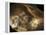 Stone-age Cave Paintings, Chauvet, France-Javier Trueba-Framed Premier Image Canvas