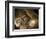 Stone-age Cave Paintings, Chauvet, France-Javier Trueba-Framed Premium Photographic Print