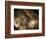 Stone-age Cave Paintings, Chauvet, France-Javier Trueba-Framed Premium Photographic Print