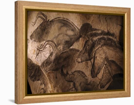 Stone-age Cave Paintings, Chauvet, France-Javier Trueba-Framed Premier Image Canvas