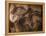 Stone-age Cave Paintings, Chauvet, France-Javier Trueba-Framed Premier Image Canvas