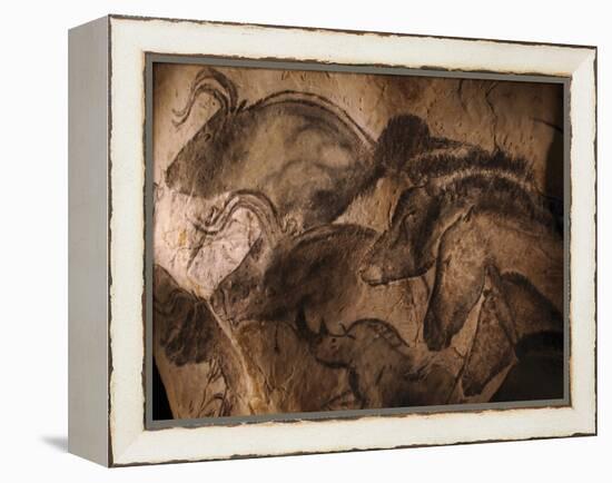 Stone-age Cave Paintings, Chauvet, France-Javier Trueba-Framed Premier Image Canvas