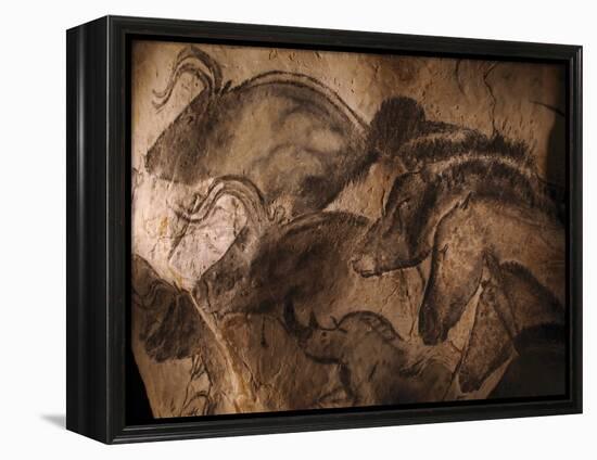 Stone-age Cave Paintings, Chauvet, France-Javier Trueba-Framed Premier Image Canvas