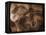 Stone-age Cave Paintings, Chauvet, France-Javier Trueba-Framed Premier Image Canvas