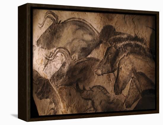 Stone-age Cave Paintings, Chauvet, France-Javier Trueba-Framed Premier Image Canvas