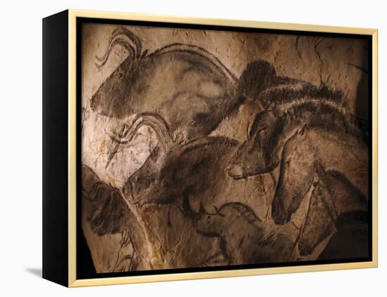 Stone-age Cave Paintings, Chauvet, France-Javier Trueba-Framed Premier Image Canvas