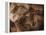 Stone-age Cave Paintings, Chauvet, France-Javier Trueba-Framed Premier Image Canvas