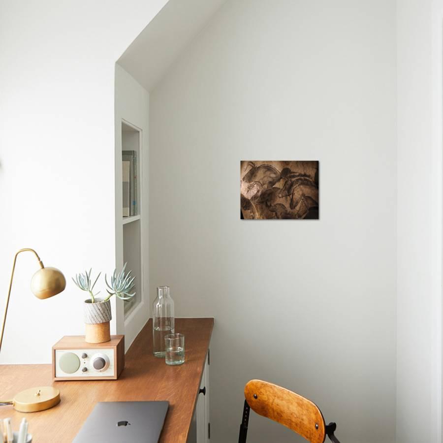 Stone Age Cave Paintings Chauvet France Photographic Print By Stone Age Cave Paintings Chauvet France Photographic Print By Javier Trueba Art