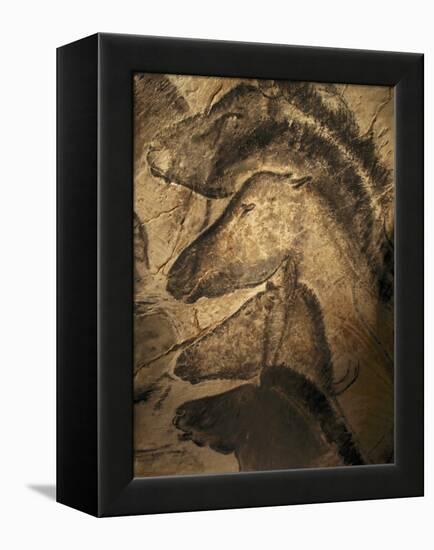 Stone-age Cave Paintings, Chauvet, France-Javier Trueba-Framed Premier Image Canvas