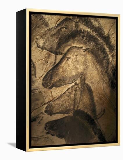 Stone-age Cave Paintings, Chauvet, France-Javier Trueba-Framed Premier Image Canvas