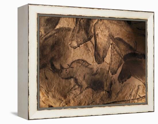 Stone-age Cave Paintings, Chauvet, France-Javier Trueba-Framed Premier Image Canvas