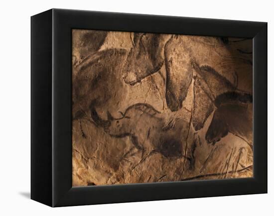 Stone-age Cave Paintings, Chauvet, France-Javier Trueba-Framed Premier Image Canvas