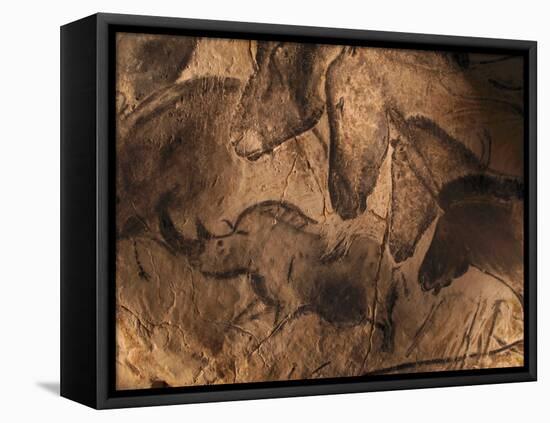 Stone-age Cave Paintings, Chauvet, France-Javier Trueba-Framed Premier Image Canvas