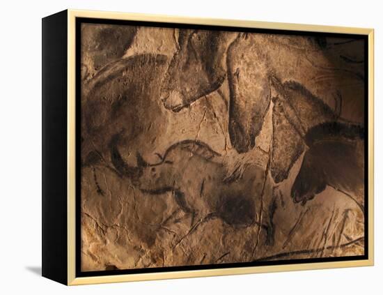 Stone-age Cave Paintings, Chauvet, France-Javier Trueba-Framed Premier Image Canvas