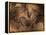 Stone-age Cave Paintings, Chauvet, France-Javier Trueba-Framed Premier Image Canvas