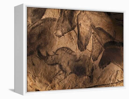 Stone-age Cave Paintings, Chauvet, France-Javier Trueba-Framed Premier Image Canvas