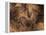 Stone-age Cave Paintings, Chauvet, France-Javier Trueba-Framed Premier Image Canvas