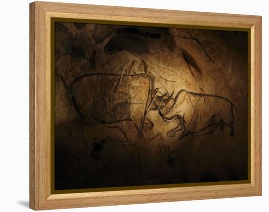 Stone-age Cave Paintings, Chauvet, France-Javier Trueba-Framed Premier Image Canvas