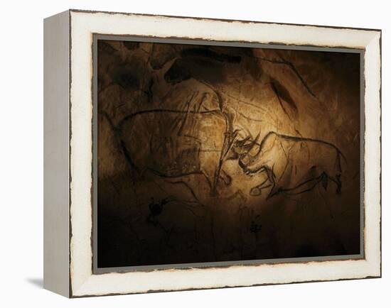 Stone-age Cave Paintings, Chauvet, France-Javier Trueba-Framed Premier Image Canvas