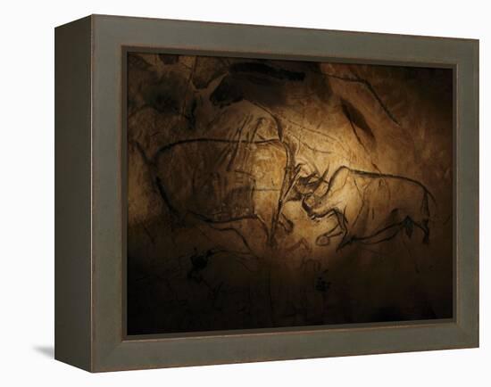 Stone-age Cave Paintings, Chauvet, France-Javier Trueba-Framed Premier Image Canvas