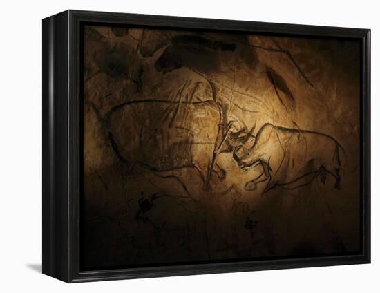 Stone-age Cave Paintings, Chauvet, France-Javier Trueba-Framed Premier Image Canvas