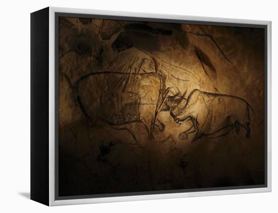 Stone-age Cave Paintings, Chauvet, France-Javier Trueba-Framed Premier Image Canvas