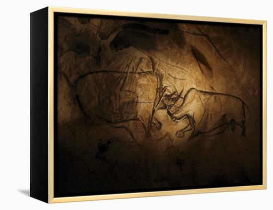 Stone-age Cave Paintings, Chauvet, France-Javier Trueba-Framed Premier Image Canvas