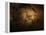 Stone-age Cave Paintings, Chauvet, France-Javier Trueba-Framed Premier Image Canvas